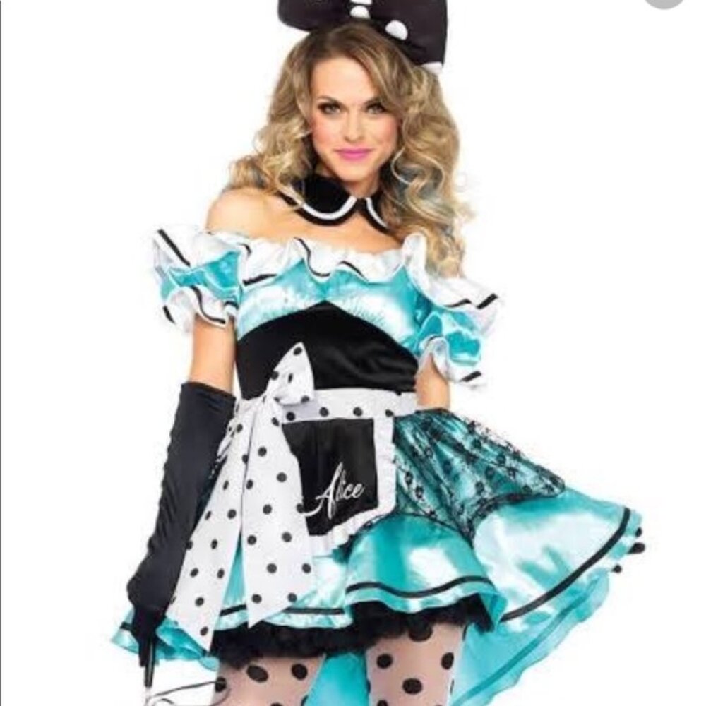Delightful Alice Costume for Adults size Small (4-6) WITH petticoat & stockings!